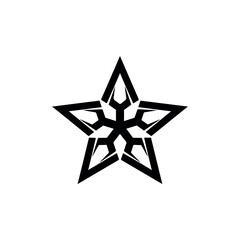 Obraz premium Geometric five pointed star with an intricate snowflake pattern inside.