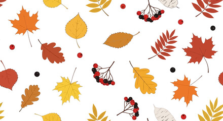 Autumn leaves and berries pattern on a white background, featuring various leaf types and berry clusters.