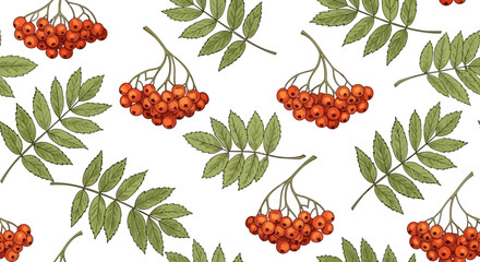 Seamless pattern with rowan berries and leaves on white background, detailed botanical illustration.