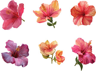 set of flowers isolated