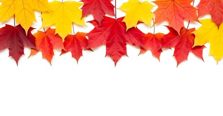 Colorful autumn leaves border, vibrant fall foliage on white background.