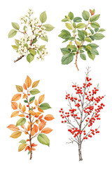 vector illustration of a tree