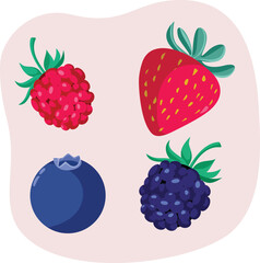 Collection Set of Berry Fruits Vector Icons Illustrations. Blueberry, blackberry, strawberry and raspberry isolated in icon form
