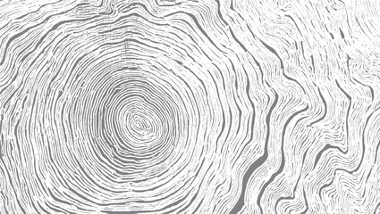 Abstract monochrome pattern of organic lines and swirls resembling wood grain or a fingerprint. © ESIPOOS