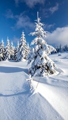 Winter landscape with snow-covered fir trees and a brilliant blue sky