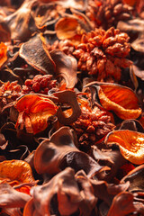 Potpourri or Pot Pourri, orange autumn fall colours with an orange and cinnamon scent. Natural aromatherapy scented concept.