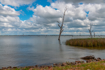 Cloudy Skies over Lake Mulwala and the dead River Gum trees
