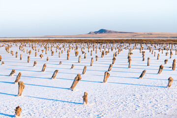 White salt surface of the salt flat at sunset. Salt industry on Baskunchak lake, Russia