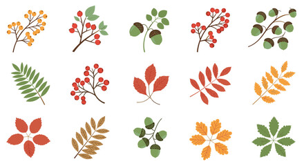 A collection of colorful autumn leaves and berries for seasonal decoration.
