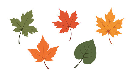 Fototapeta premium Beautiful autumn leaves in various vibrant colors during fall season.