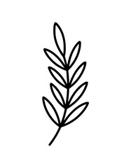 Minimalistic botanical line art of a branch with oval leaves