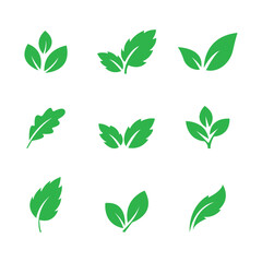 Set of green leaf icons. Leaves of trees and plants. Collection of green leaf. Vector illustration