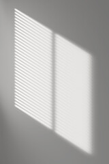 Overlay window and blinds shadow effect on transparent background. high quality 3d render png format.