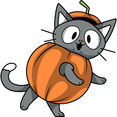 Grey Cat Wearing a Pumpkin Costume With A Green Stem On Its Head And A White Tipped Tail On A Transparent Background