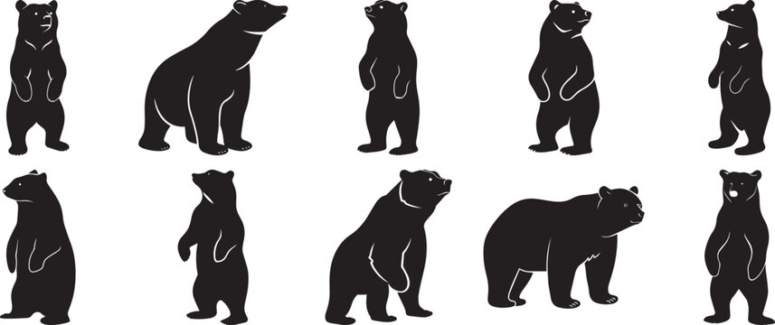A Group of Black bear silhouette standing vector illustration flat design