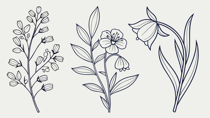Delicate floral branches with blooming flowers in a minimalist line art style, creating a serene and elegant botanical illustration