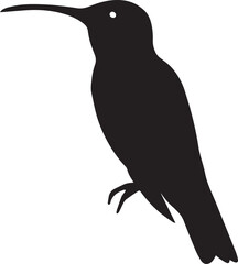 Hummingbird silhouette vector, black and white silhouette vector illustration