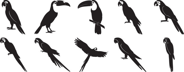 A group of Parrot bird silhouette vector, black and white silhouette vector illustration © MDASHRAFUL