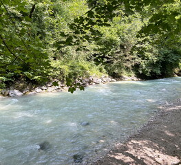 Landscape from the bridge of the unstoppable flow of the Partnach mountain river overcoming stone rapids under the shade of forest trees.