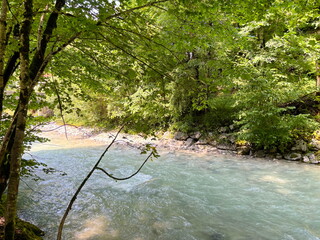 Landscape from the bridge of the unstoppable flow of the Partnach mountain river overcoming stone rapids under the shade of forest trees.