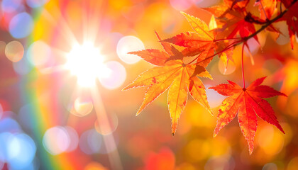 光に包まれた紅葉の葉 | Autumn Leaves Illuminated by Light	