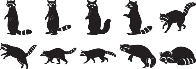 Fototapeta premium A group of Raccoon silhouette vector, black and white silhouette vector illustration