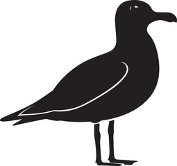 Seagull bird silhouette vector, black and white silhouette vector illustration