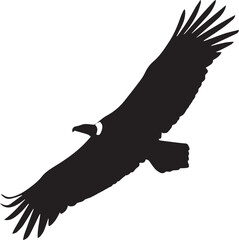 Vulture silhouette vector, black and white silhouette vector illustration
