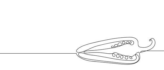 Bell pepper halved, continuous hand drawn doodle line art vector, editable stroke.