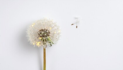 A delicate dandelion with its seeds being blown away, but each seed is a tiny, glowing light bulb. The entire plant is isolated on a pure white background. Metaphorical, creative concept, high