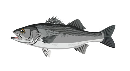 Fototapeta premium Stylized illustration of a sea bass showcasing its streamlined form and detailed scales, rendered in grayscale tones with subtle gradients for