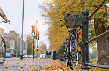 Bicycle parked on city street with autumn leaves and soft sunlight, ideal for seasonal lifestyle, eco-friendly transport, urban cycling concept, and sustainable living visual content