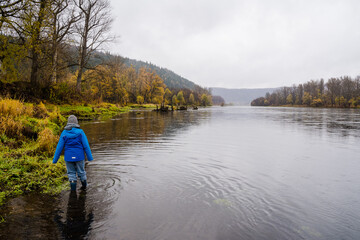 Fototapeta premium Embark on an enchanting Autumn Adventure stroll along the Serene Riverbank while enjoying natures sights and sounds. Take in the vibrant foliage and experience the tranquility of the landscape