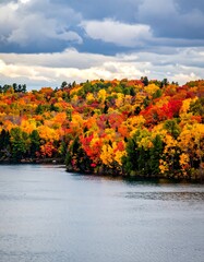 Obraz premium Vibrant autumn foliage covers the hillside, overlooking serene lake waters