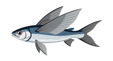 Obraz premium Stylized illustration of a flying fish with detailed wing patterns and scale texture against a plain background offering design flexibility