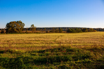 Golden harvested field bathed in warm sunlight under a clear blue sky. Distant autumn trees and rural village enhance the serene landscape