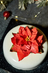 A beautifully crafted dessert showcases a striking flower decoration, enhanced by twinkling lights and festive greens, creating an inviting holiday atmosphere.