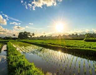 Fototapeta premium landscape with lake and trees