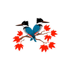 Obraz premium Two vibrant blue kingfisher birds with striking plumage perched on a branch adorned with vivid red autumn maple leaves, a beautiful nature wildlife illustration.