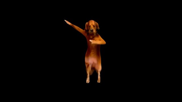dog dancing animated video 4K animated video . animated in basic color .celebration of dancing animation video . animated icons .

