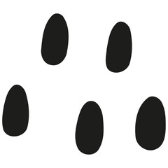 Five irregular black abstract shapes on a white background, resembling seeds or pebbles.