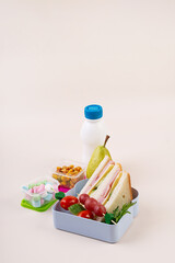 Healthy School Lunch Box with Sandwich and Fruit
