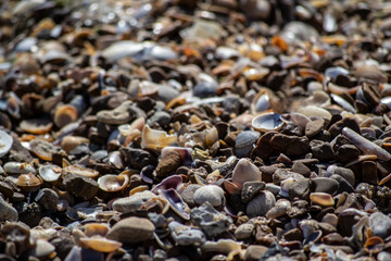pebbles on the beach
