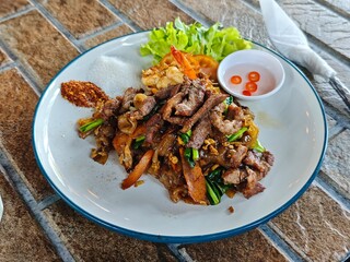 Stir-fried noodles with soy sauce, large noodles, pork and egg, served on a white plate.