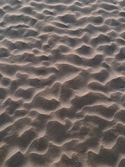 Wavy textured sand surface with natural light and shadows on beach ground. 