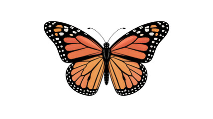 Obraz premium Monarch butterfly vector illustration, isolated on transparent background