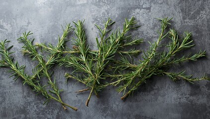 Green Twigs on Textured Surface, Natural Still Life Composition, Abstract Gray Background.