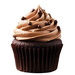 chocolate cupcake isolated on white