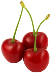 Three fresh cherries with stems, isolated on transparent background, realistic texture and lighting
