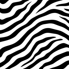  zebra abstract background 